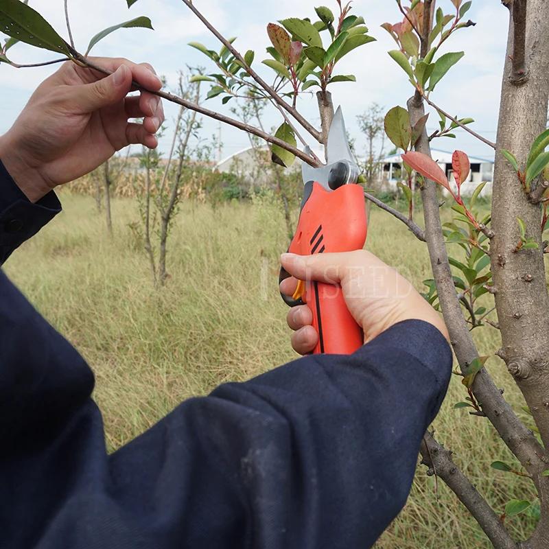 Lithium battery vineyard electric pruning shears tools and orchard electric trimmer battery scissors ( 2018 HDP818 )
Lithium battery vineyard electric pruning shears tools and orchard electric trimmer battery scissors ( 2018 HDP818 )