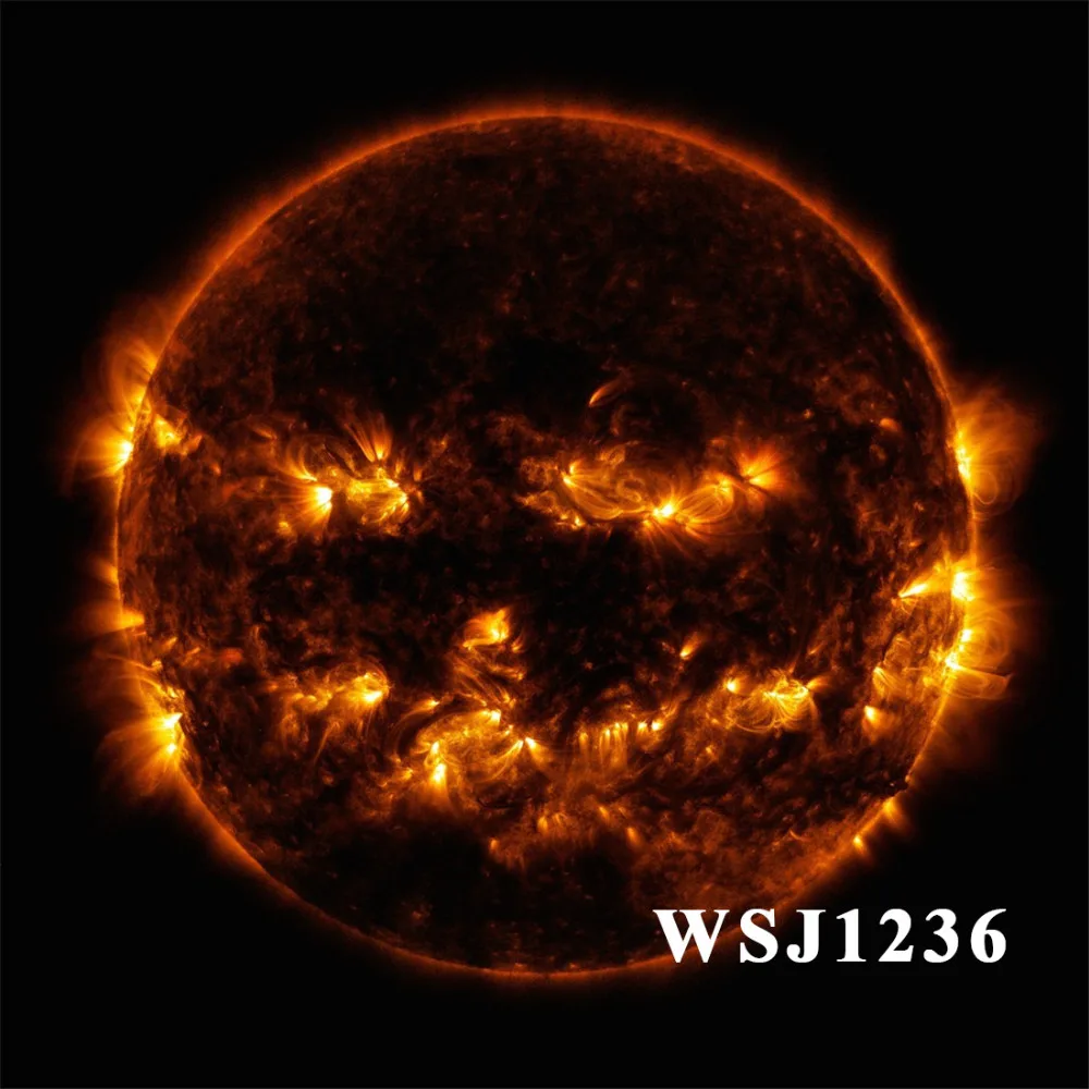 LB Polyester & Vinyl Backgrounds For Photo Studio Photography Backdrops Halloween Burning Ring Of Fire Mysterious Sacrifice
LB Polyester & Vinyl Backgrounds For Photo Studio Photography Backdrops Halloween Burning Ring Of Fire Mysterious Sacrifice