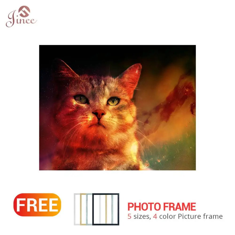 5D DIY Full Drilling Diamond Painting Pet Cat Animals Cross Stitch Diamond Wall Round Drill for Home Decor
5D DIY Full Drilling Diamond Painting Pet Cat Animals Cross Stitch Diamond Wall Round Drill for Home Decor