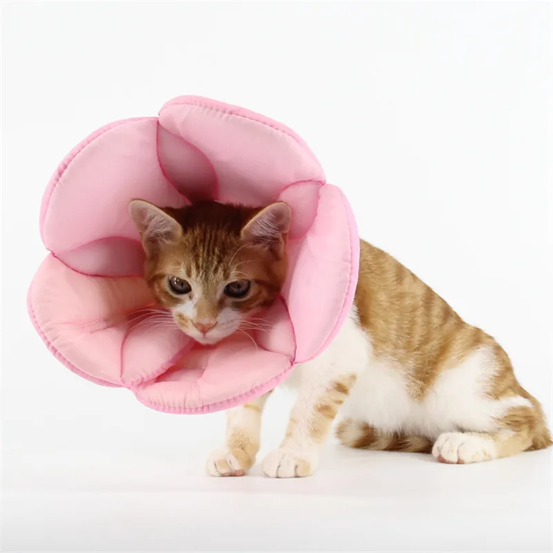 Lovely Elizabeth Protective Headgear for Pet Bathing Grooming Beauty Medical Bite Flowers Prevention Soft Cotton Dog Collar
Lovely Elizabeth Protective Headgear for Pet Bathing Grooming Beauty Medical Bite Flowers Prevention Soft Cotton Dog Collar