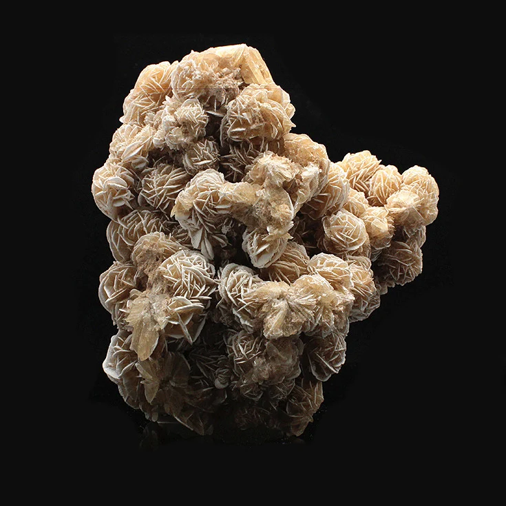 Never withered roses natural stone Kistler Desert Rose Mineral Crystal Collection gift smmg30
Never withered roses natural stone Kistler Desert Rose Mineral Crystal Collection gift smmg30