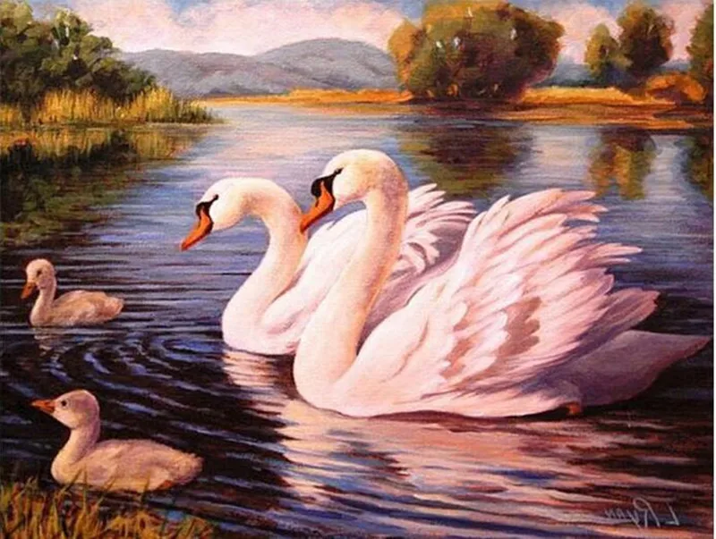NEW 100% Full round Drill Diamond Embroidery Swans Family Look Picture 5D Diamond Painting cross-stitch Mosaic kits Wall Decora
NEW 100% Full round Drill Diamond Embroidery Swans Family Look Picture 5D Diamond Painting cross-stitch Mosaic kits Wall Decora