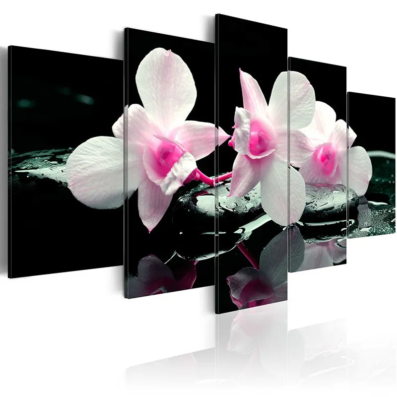 5 Pieces Modern HD Print Orchids Blossom Canvas Painting Colorful Flower Poster Black Wall Art Pictures for Bedroom Home Decor
5 Pieces Modern HD Print Orchids Blossom Canvas Painting Colorful Flower Poster Black Wall Art Pictures for Bedroom Home Decor