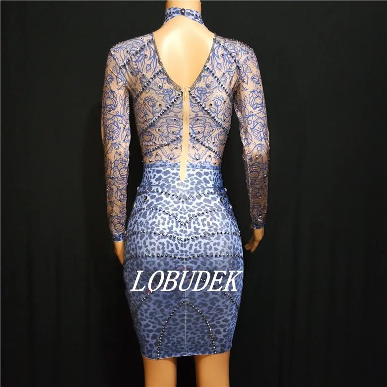 Blue Crystals Leopard Stretch Dress Women Nightclub Singer DJ Stage Wear Bar Party Celebration Performance Costume Dance Dress
Blue Crystals Leopard Stretch Dress Women Nightclub Singer DJ Stage Wear Bar Party Celebration Performance Costume Dance Dress