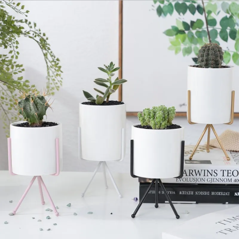 Nordic Style Ceramic Vases Iron Art Vase Minimalism Flower Vases Home Decoration Plant Flowerpot For Coffeehouse Ornaments Gift
Nordic Style Ceramic Vases Iron Art Vase Minimalism Flower Vases Home Decoration Plant Flowerpot For Coffeehouse Ornaments Gift