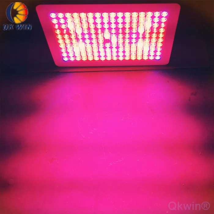 Qkwin 1600W LED Grow Light double chip 370W True Power Full Spectrum with on/off button France warehouse Drop shipping
Qkwin 1600W LED Grow Light double chip 370W True Power Full Spectrum with on/off button France warehouse Drop shipping