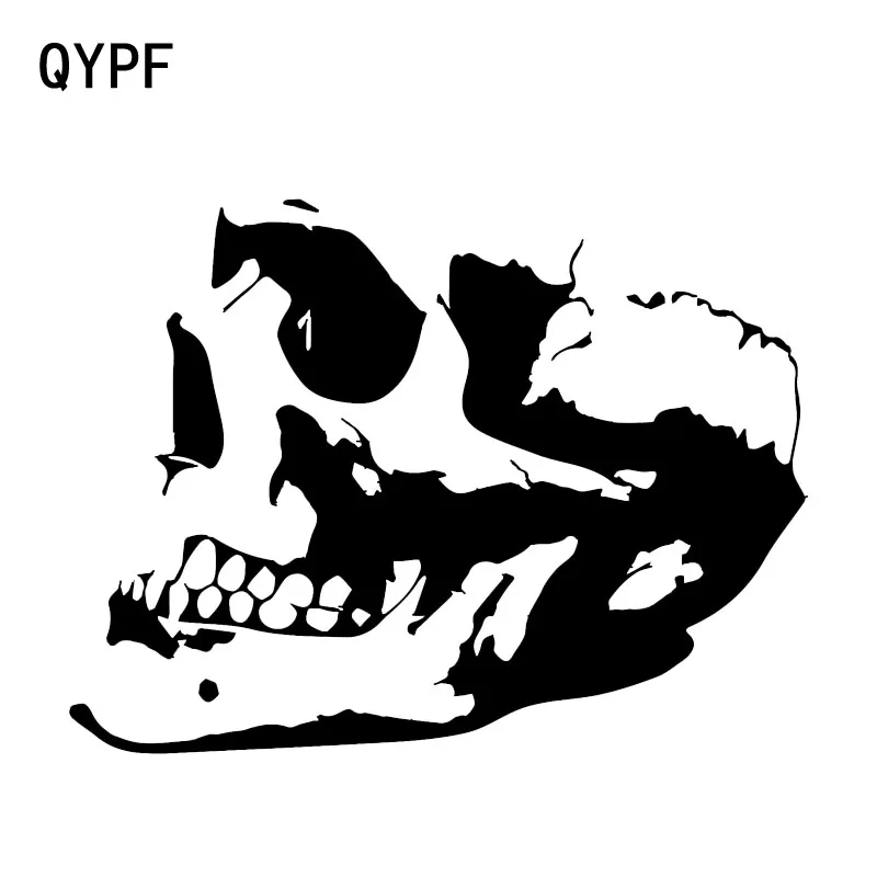 QYPF 16.7*12.5CM Interesting SKULL Car Stickers Vinyl Motorcycle Accessories Decoration C16-0231
QYPF 16.7*12.5CM Interesting SKULL Car Stickers Vinyl Motorcycle Accessories Decoration C16-0231