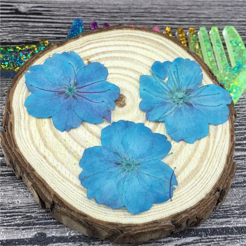Cherry Bloom Wedding Decoration Flower 6 Different Colors For Card Gifts Free shipment 100pcs
Cherry Bloom Wedding Decoration Flower 6 Different Colors For Card Gifts Free shipment 100pcs