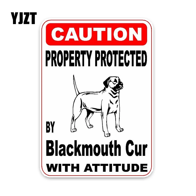 YJZT 15*11,4 см свойство защищено Blackmouth Cur Dog Puppy Pet украшение модная наклейка на автомобиль C1-4692
YJZT 15*11,4 см свойство защищено Blackmouth Cur Dog Puppy Pet украшение модная наклейка на автомобиль C1-4692