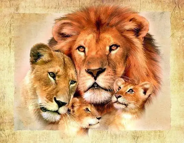 5d DIY Diamond Painting Carefree Lion Mosaic Embroidery Square/round Cross Stitch Full Diamond Home Decor Creative
5d DIY Diamond Painting Carefree Lion Mosaic Embroidery Square/round Cross Stitch Full Diamond Home Decor Creative