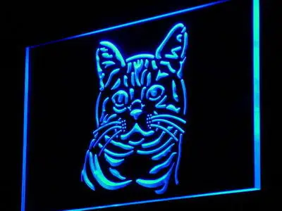 i993 American Shorthair Cat Kitty Shop Pet Light Signs On/Off Switch 20+ Colors 5 Sizes
i993 American Shorthair Cat Kitty Shop Pet Light Signs On/Off Switch 20+ Colors 5 Sizes
