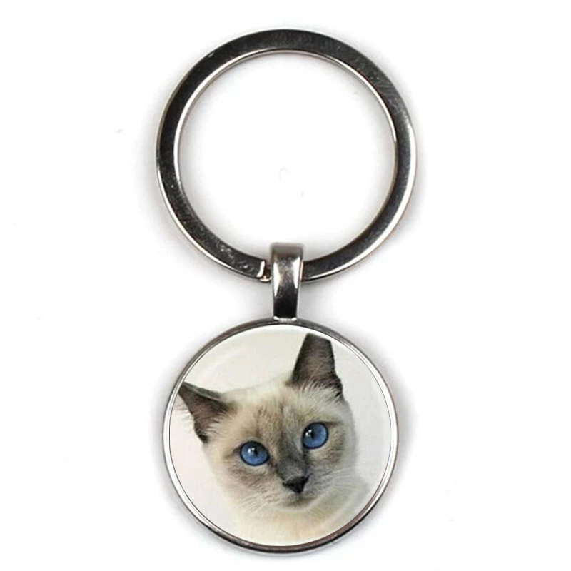 Cute cartoon gray fairy cat pattern keychain angel wing pendant kitten keyring jewelry animal glass men women accessories gifts
Cute cartoon gray fairy cat pattern keychain angel wing pendant kitten keyring jewelry animal glass men women accessories gifts