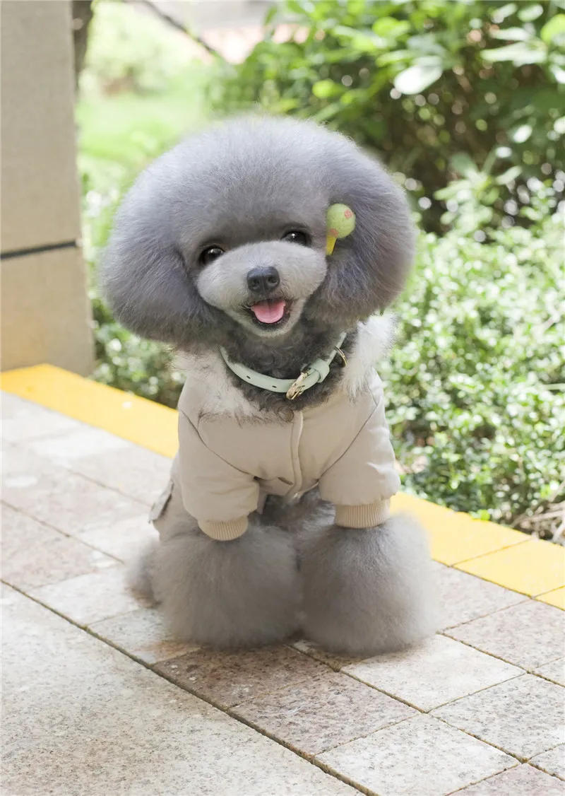 A83 2016 new style pet dog winter clothes dog autumn winter cotton coat for 4 legs pet clothing
A83 2016 new style pet dog winter clothes dog autumn winter cotton coat for 4 legs pet clothing