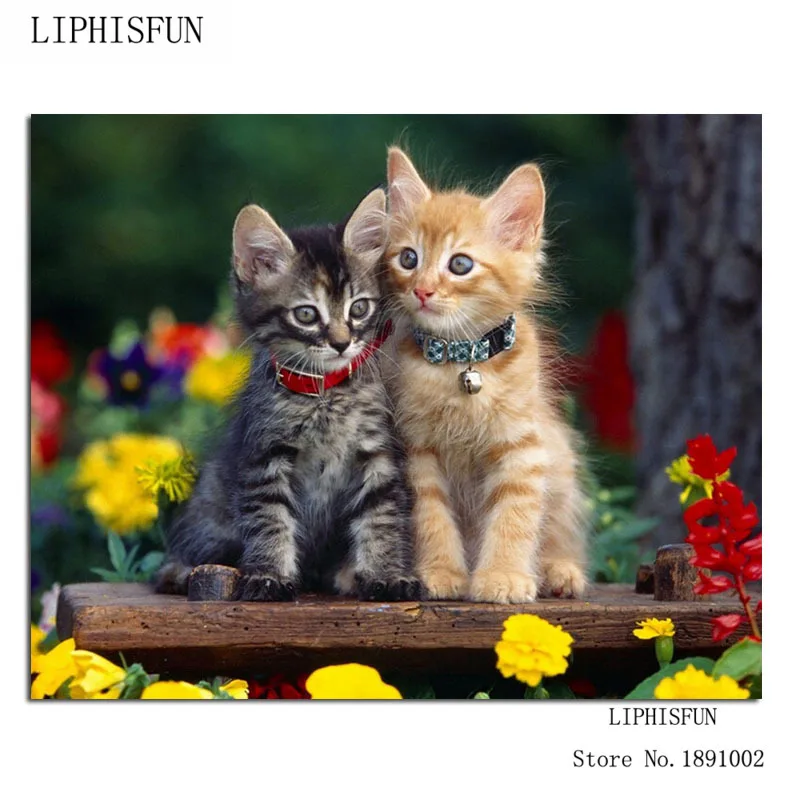 Cuddling Cats Full Drill Diamond Embroidery 5d Diamond Painting Kittens Cross Stitch Fashion Diamond Pictures Of Rhinestones
Cuddling Cats Full Drill Diamond Embroidery 5d Diamond Painting Kittens Cross Stitch Fashion Diamond Pictures Of Rhinestones