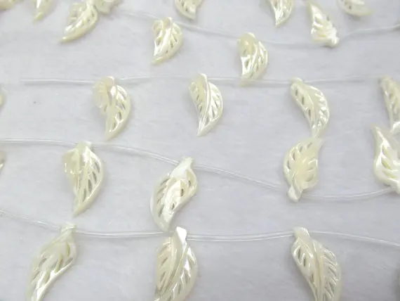 wholesale 2strands 15charm30mm Genuine MOP Shell ,Pearl Shell beads ,leaf tree leaves carved shell pendant
wholesale 2strands 15charm30mm Genuine MOP Shell ,Pearl Shell beads ,leaf tree leaves carved shell pendant