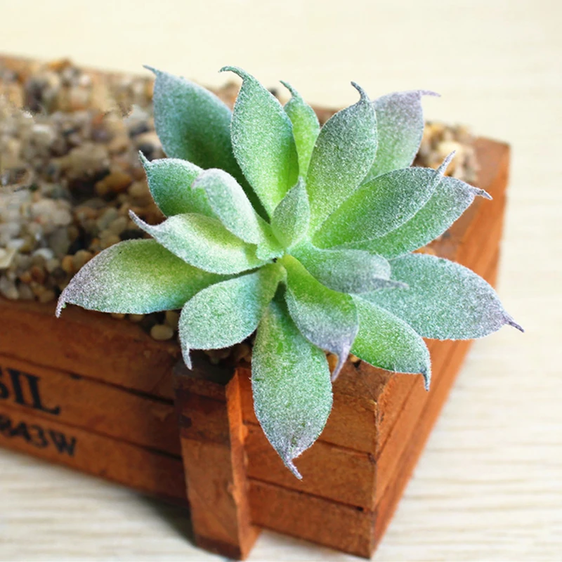 Artifical Simulation Fake Mini Succulents Plant Flower Garden Home Decor Cactus Table Balcony Green Plant Craft Ornaments
Artifical Simulation Fake Mini Succulents Plant Flower Garden Home Decor Cactus Table Balcony Green Plant Craft Ornaments