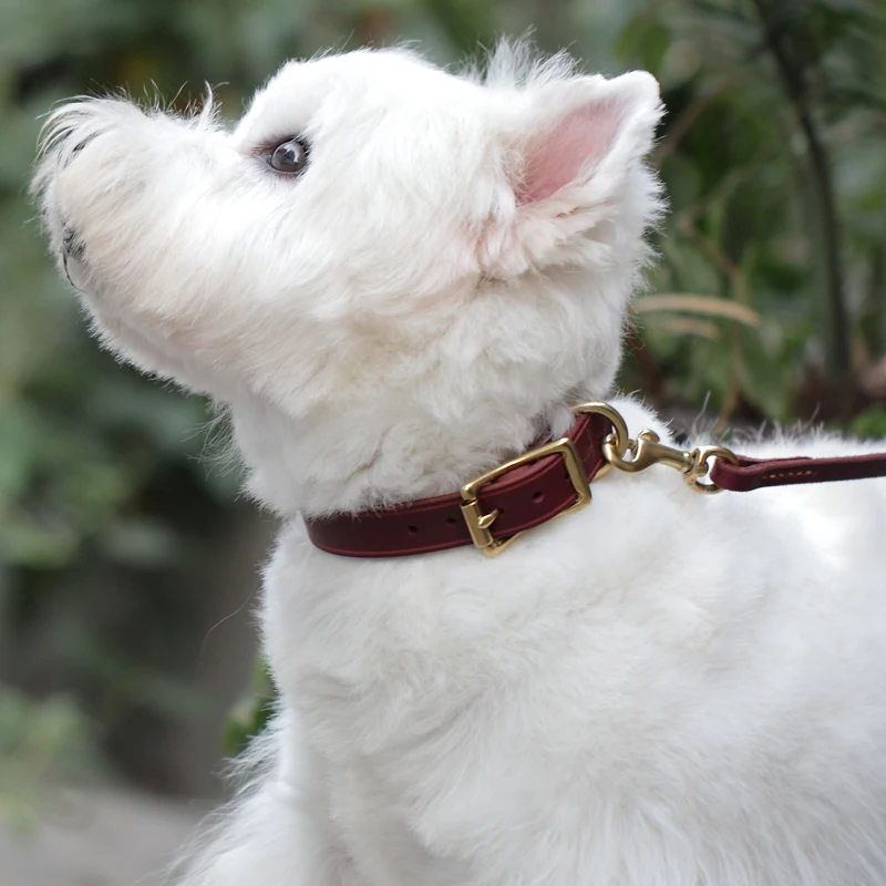 Handmade Oiled Leather Dog Collar Natural Plant Dyeing Collar for Dog Puppies Cats Retro Environmental Supplies Pet Products
Handmade Oiled Leather Dog Collar Natural Plant Dyeing Collar for Dog Puppies Cats Retro Environmental Supplies Pet Products