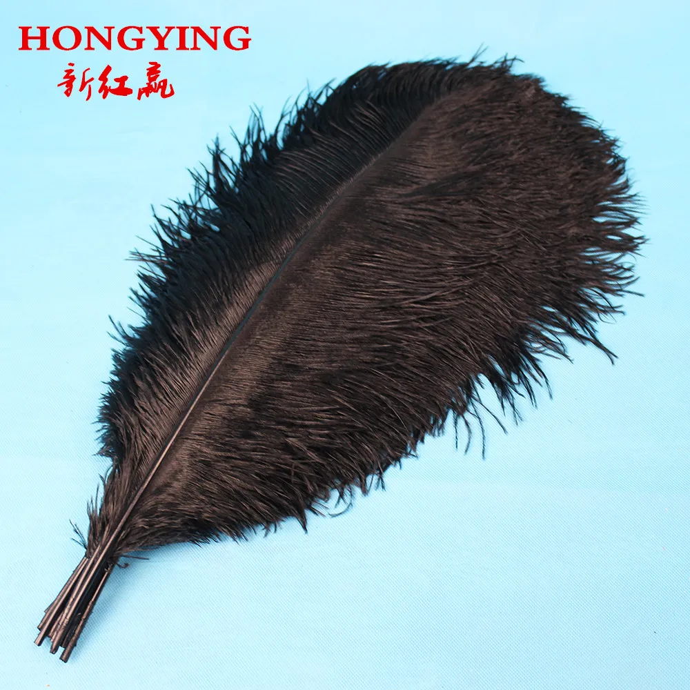5 PCS natural Mei red ostrich feathers 45-50 cm / 18 to 20 inches High quality ostrich plumage wedding performance plume
5 PCS natural Mei red ostrich feathers 45-50 cm / 18 to 20 inches High quality ostrich plumage wedding performance plume