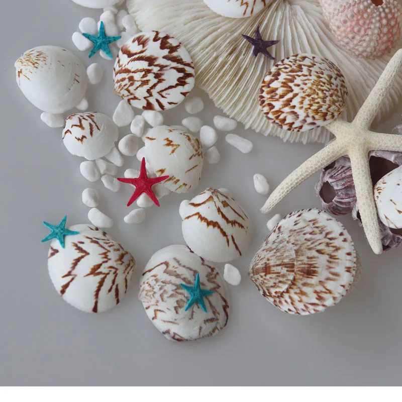 Free Shipping(20pcs/lot)Landscape clam Natural Shell&Conch Home Decoration Aquarium Landscaping DIY Material
Free Shipping(20pcs/lot)Landscape clam Natural Shell&Conch Home Decoration Aquarium Landscaping DIY Material