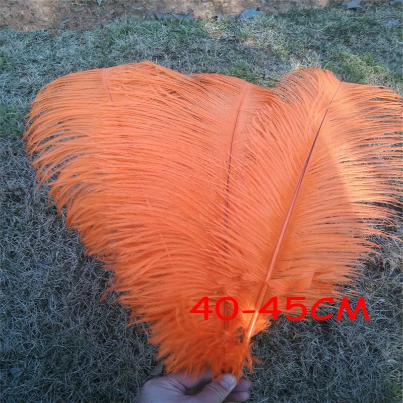 10pcs/lot 40-45cm Orange Ostrich Feather Wedding Party Supplies High Quality 16-18 inches Ostrich Feathers Plumes sk247
10pcs/lot 40-45cm Orange Ostrich Feather Wedding Party Supplies High Quality 16-18 inches Ostrich Feathers Plumes sk247