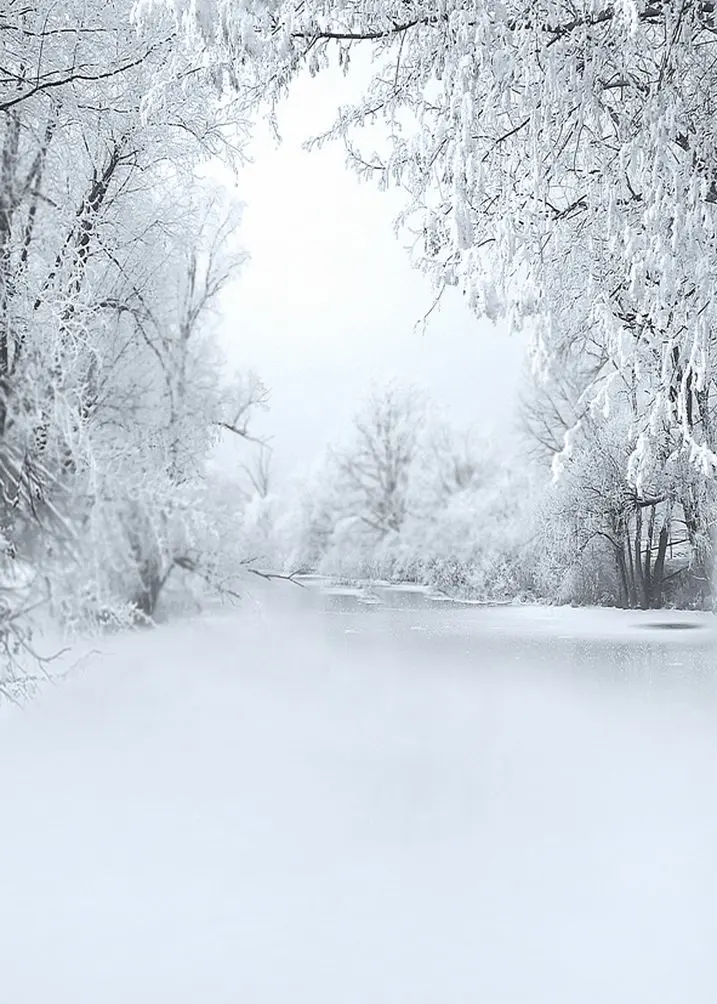 Nature Winter White Snow Tree Photography Backdrops Photo Props Studio Background 5x7ft
Nature Winter White Snow Tree Photography Backdrops Photo Props Studio Background 5x7ft