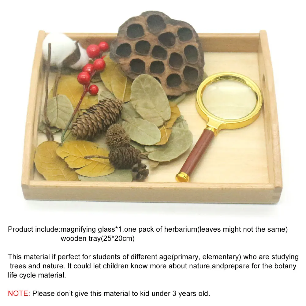 Wooden Toys Education Learning Sensorial Materials Nature Plants Observation Educational Wooden Toys For Children F0544H
Wooden Toys Education Learning Sensorial Materials Nature Plants Observation Educational Wooden Toys For Children F0544H