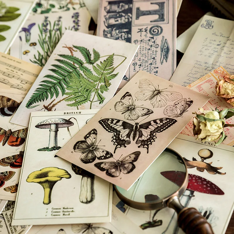 30pcs Specimens Notes of Forest Plants Style Card As Party Invitation DIY Decoration Gift Card Message Card Postcard
30pcs Specimens Notes of Forest Plants Style Card As Party Invitation DIY Decoration Gift Card Message Card Postcard