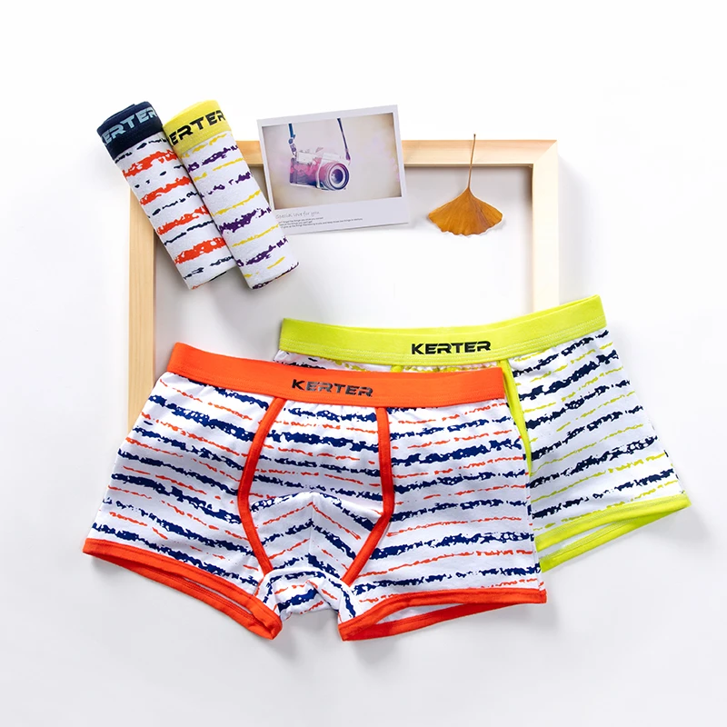 4Pcs/Lot Kids Underwear Soft Organic Cotton Teenager Underpants Animal Children's Shorts Baby Boy Panties 2-16y
4Pcs/Lot Kids Underwear Soft Organic Cotton Teenager Underpants Animal Children's Shorts Baby Boy Panties 2-16y