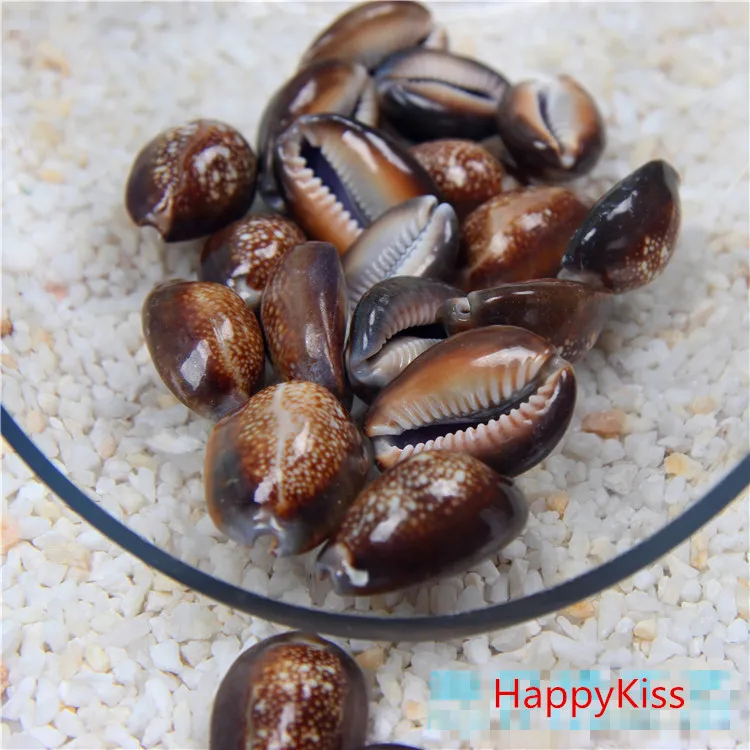HappyKiss 50pcs /lot Natural seashells crafts To stick The wedding party black conch big natural shells 2-3cm Home decoration
HappyKiss 50pcs /lot Natural seashells crafts To stick The wedding party black conch big natural shells 2-3cm Home decoration