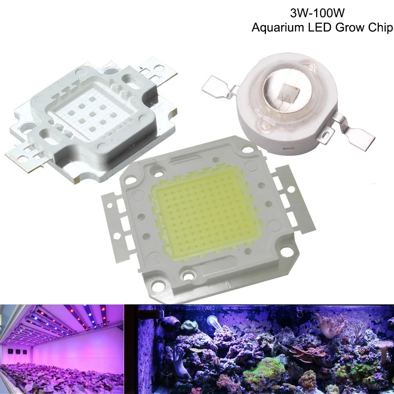 

High Power LED Aquarium Grow Chip Royal Blue 440nm 450nm Cool White 15000K 3W 5W 10W 20W 30W 50W 100W COB LED Emitter Bulb