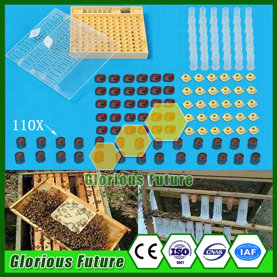 2Sets Bee Queen Rearing System Box & Queen Cell Cups & Hair Roller Cages Cell Fixture Cell Cup Holders Beekeeping Supplies
2Sets Bee Queen Rearing System Box & Queen Cell Cups & Hair Roller Cages Cell Fixture Cell Cup Holders Beekeeping Supplies