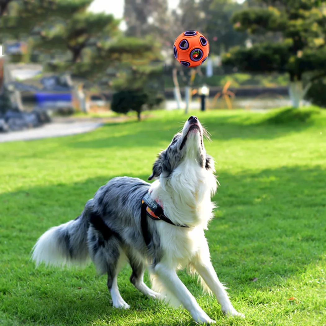 Luminous Dog Toy Durable Bouncy Balls Rubber Bouncy Bite- resistant Dog Chewing Ball Dog Training Pet Toys with Sound and Light
Luminous Dog Toy Durable Bouncy Balls Rubber Bouncy Bite- resistant Dog Chewing Ball Dog Training Pet Toys with Sound and Light