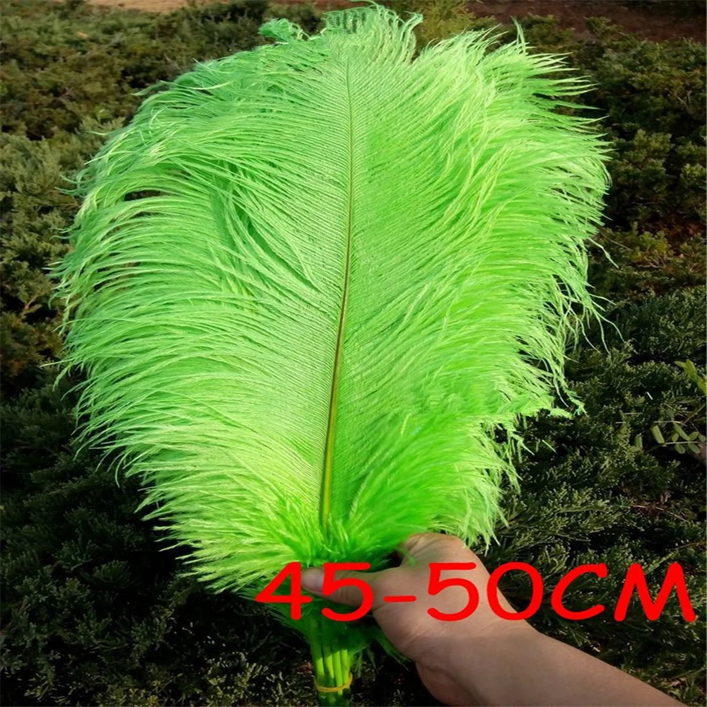 20pcs Wholesale Ostrich feather 18-20inch/45-50cm DIY Home Decoration Craft Material Apple Green Feathers Wedding Tables
20pcs Wholesale Ostrich feather 18-20inch/45-50cm DIY Home Decoration Craft Material Apple Green Feathers Wedding Tables