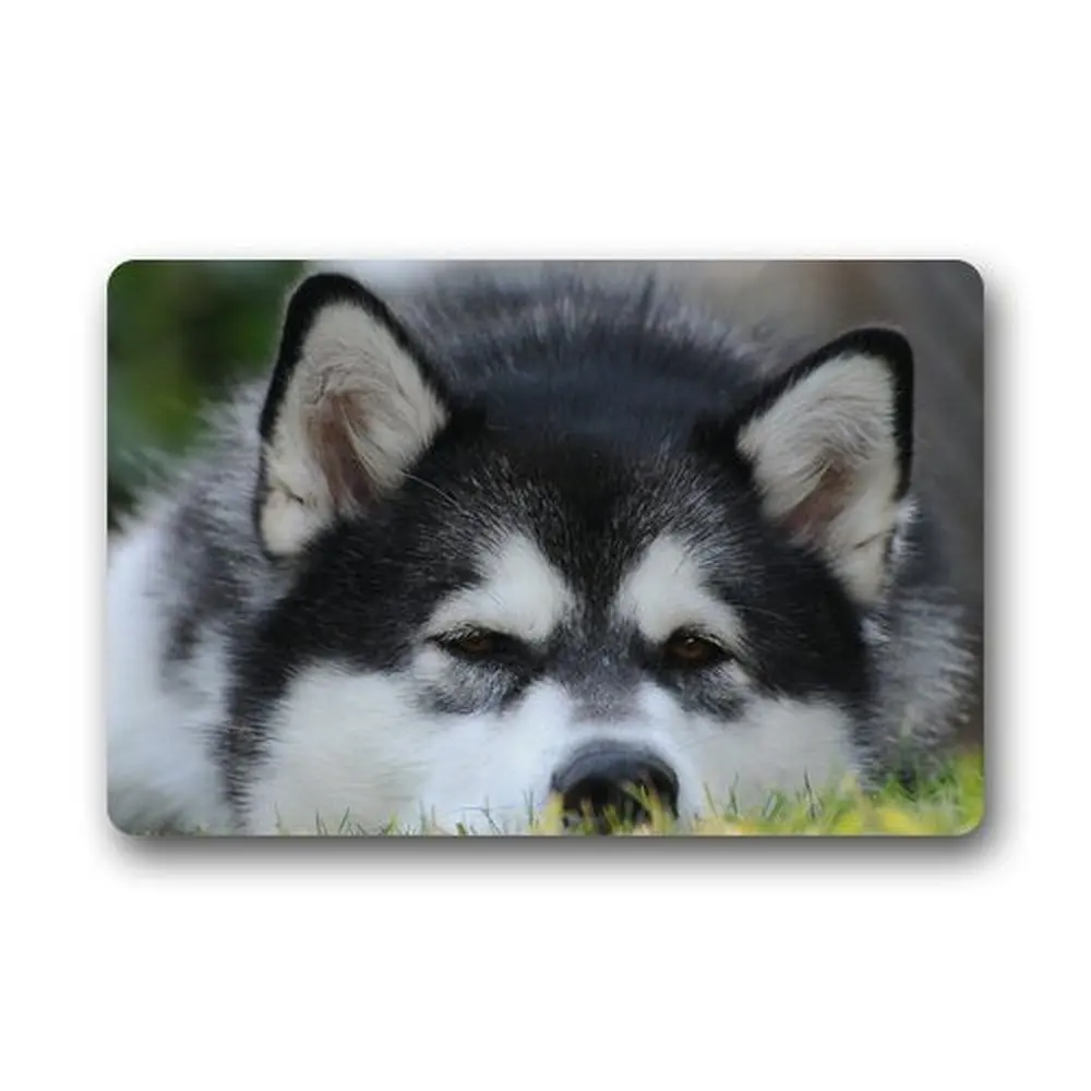 CHARMHOME Alaskan Malamute Пользовательские Коврики для гостиной домашний декор ковер