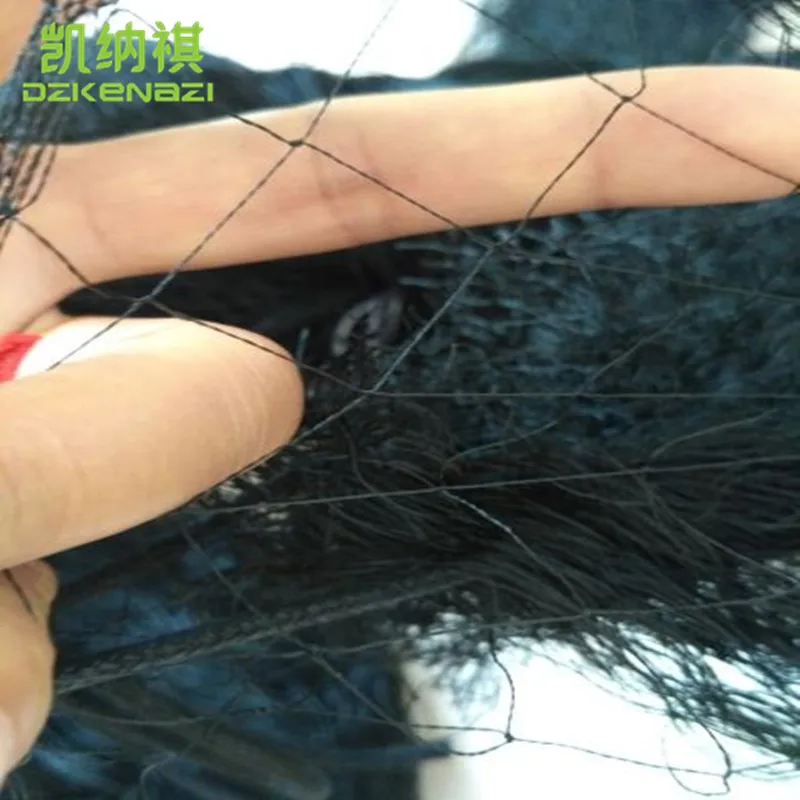 2 pcs/Lot 210D/3 PP 3 x 15 M 60mm Hole Orchard Garden Anti Bird Net Polyester Knotted Mist Net
2 pcs/Lot 210D/3 PP 3 x 15 M 60mm Hole Orchard Garden Anti Bird Net Polyester Knotted Mist Net