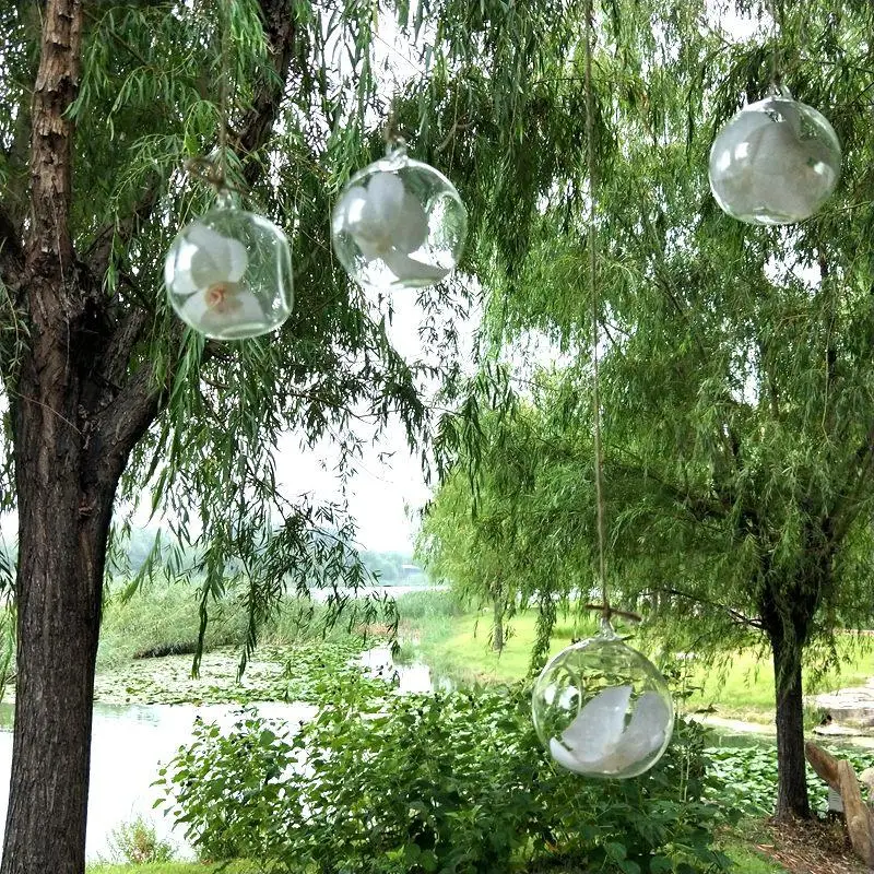10CM Hanging Glass Vase Succulent Air Plant Display Terrarium,Decorative Clear Globe Terrarium 100pcs
10CM Hanging Glass Vase Succulent Air Plant Display Terrarium,Decorative Clear Globe Terrarium 100pcs