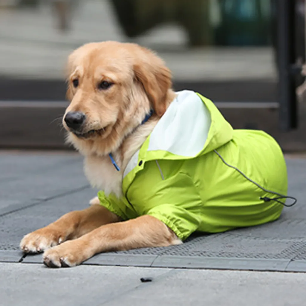 Transer Dog Raincoat Golden Retriever Large Dog Hooded Legs Waterproof And Rainproof Pet Raincoats Chubasquero Perro 19May14 P40
Transer Dog Raincoat Golden Retriever Large Dog Hooded Legs Waterproof And Rainproof Pet Raincoats Chubasquero Perro 19May14 P40