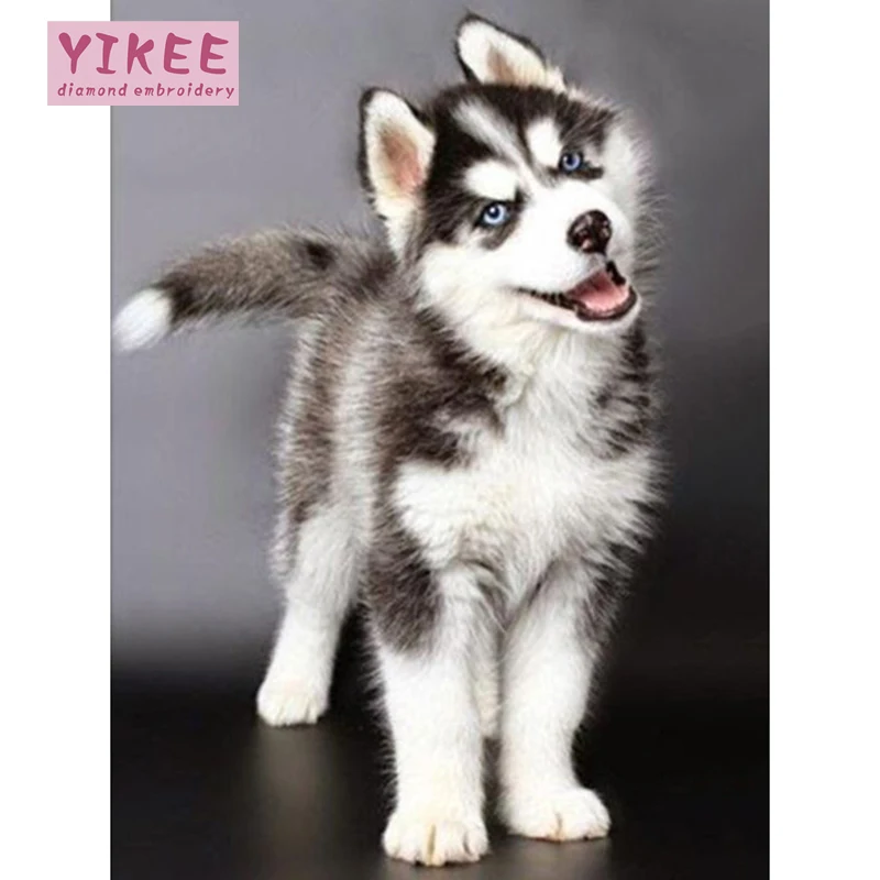 YIKEE diamond painting dog husky Squares Diamond 5d diy Diamond Embroidery Rhinestone Mosaic Painting Home Decor h953
YIKEE diamond painting dog husky Squares Diamond 5d diy Diamond Embroidery Rhinestone Mosaic Painting Home Decor h953