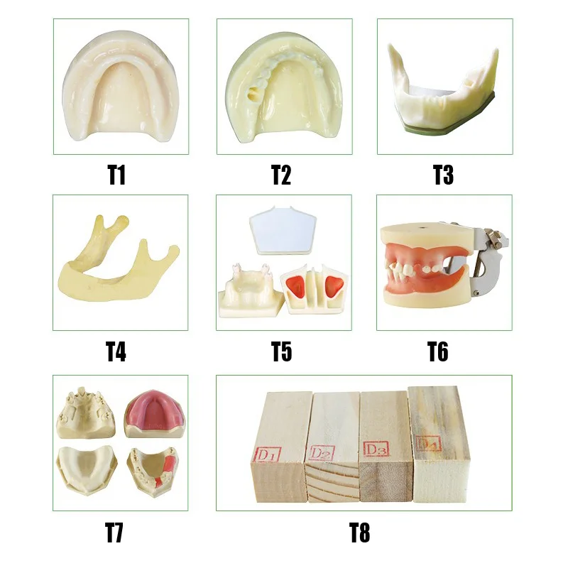 Dental Implant Model for implant placement practice Anatomically Bone mandible teeth model
Dental Implant Model for implant placement practice Anatomically Bone mandible teeth model
