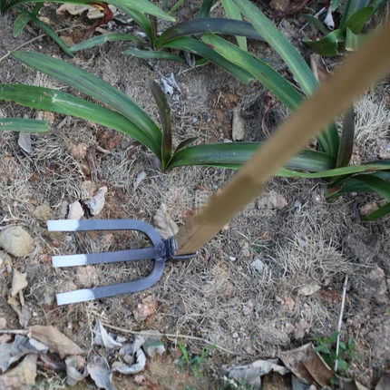 Long handle three-toothed iron shovel wooden handle loose soil Shantou garden yard practical excavation gardening supplies tools
Long handle three-toothed iron shovel wooden handle loose soil Shantou garden yard practical excavation gardening supplies tools