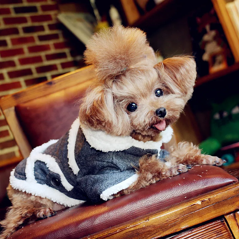 

Одежда для собак маленьких собак, осенне-зимнее хлопковое пальто для французского бульдога, щенка, утепленная куртка для чихуахуа, костюм й...