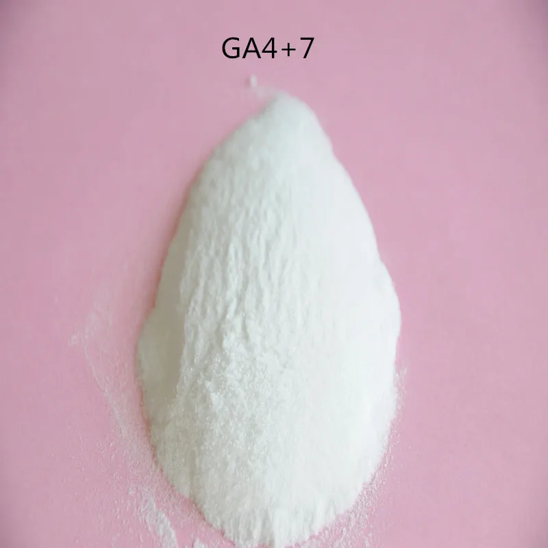 150 Gram GA4+7, Gibberellin,99 min gibberellic acid, plant growth regulator GA4 GA7 High Quality free shipping
150 Gram GA4+7, Gibberellin,99 min gibberellic acid, plant growth regulator GA4 GA7 High Quality free shipping