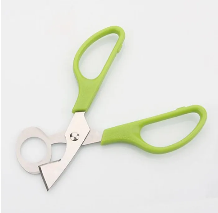 500pcs/lot Pigeon Quail Egg scissor Bird Cutter Opener Kitchen Tool Clipper Cigar Cracker Blade Home Kitchen Cook Tool
500pcs/lot Pigeon Quail Egg scissor Bird Cutter Opener Kitchen Tool Clipper Cigar Cracker Blade Home Kitchen Cook Tool