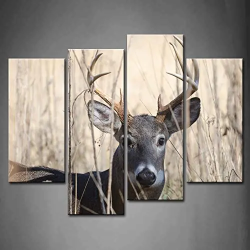 4 Panels Wall Art Whitetail Deer Buck Moving Through Bush Painting Pictures Print On Canvas Animal The Picture For Decor
4 Panels Wall Art Whitetail Deer Buck Moving Through Bush Painting Pictures Print On Canvas Animal The Picture For Decor