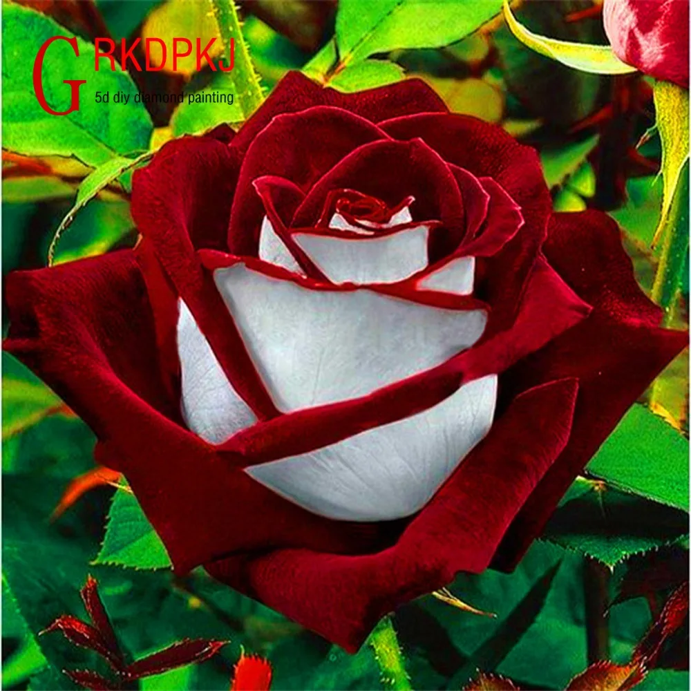 GRKDPKJ 5d diamond painting full drill square diamond embroidery Cross stitch pictures of rhinestones plant beautiful flower ima
GRKDPKJ 5d diamond painting full drill square diamond embroidery Cross stitch pictures of rhinestones plant beautiful flower ima