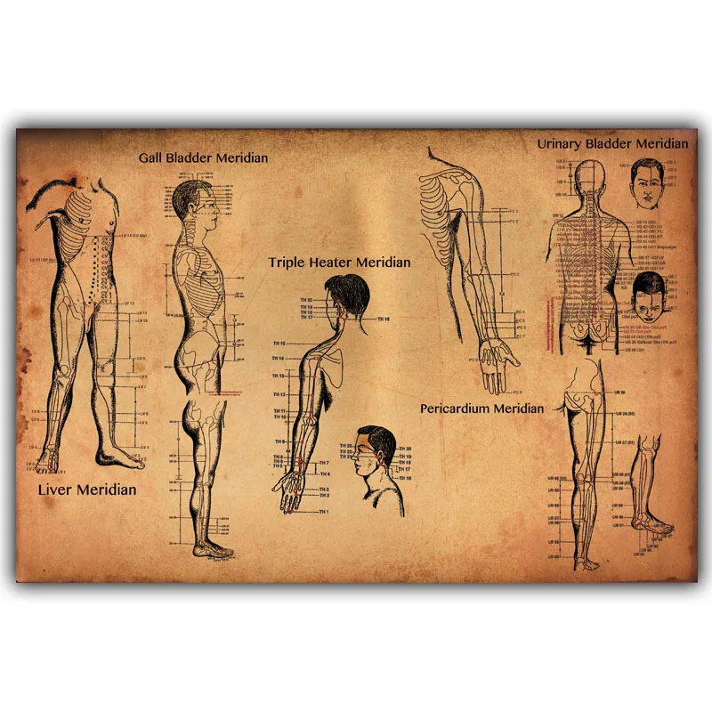 Human Acupuncture Points Poster Science and Education Medicine Home Decoration Poster Picture Print
Human Acupuncture Points Poster Science and Education Medicine Home Decoration Poster Picture Print