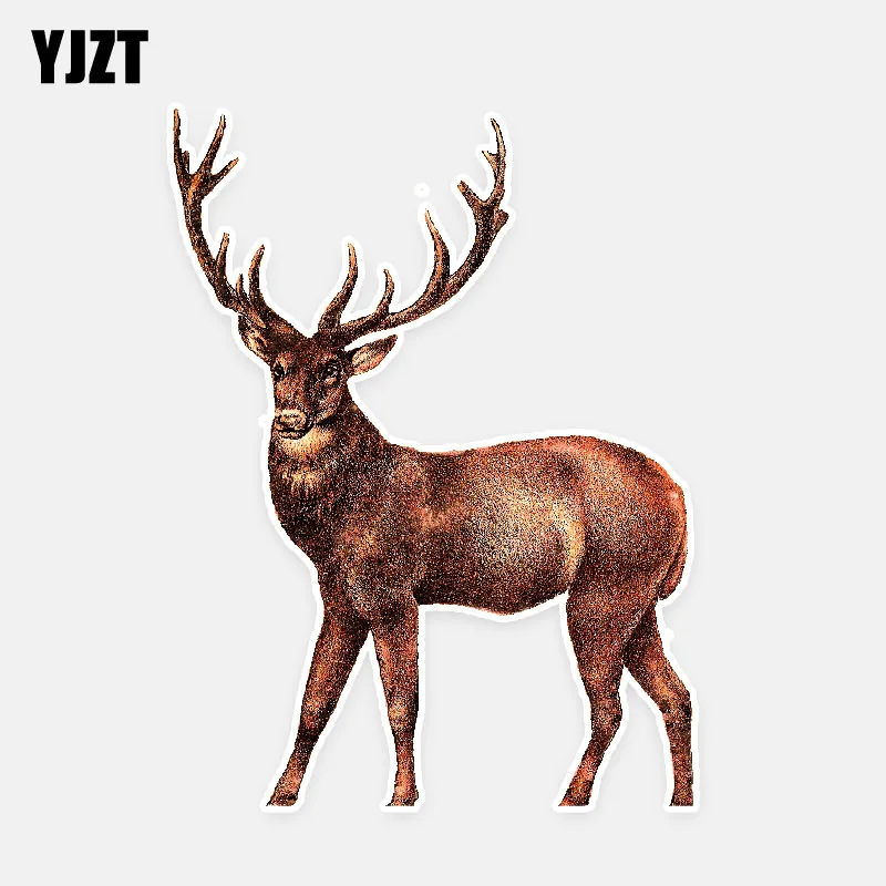 YJZT 11 см * 14,7 см мультфильм красочный наклейка олень ПВХ животных наклейки на автомобиль аксессуары 5-0623
YJZT 11 см * 14,7 см мультфильм красочный наклейка олень ПВХ животных наклейки на автомобиль аксессуары 5-0623