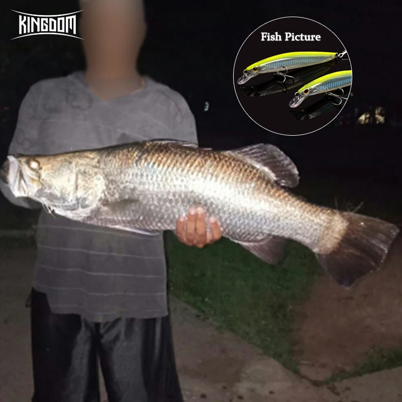 Kingdom Hot Sea Fishing Lures 120mm 130mm Floating High Quality Minnow Artificial Baits Saltwater Good Action Wobblers Jertbaits
Kingdom Hot Sea Fishing Lures 120mm 130mm Floating High Quality Minnow Artificial Baits Saltwater Good Action Wobblers Jertbaits