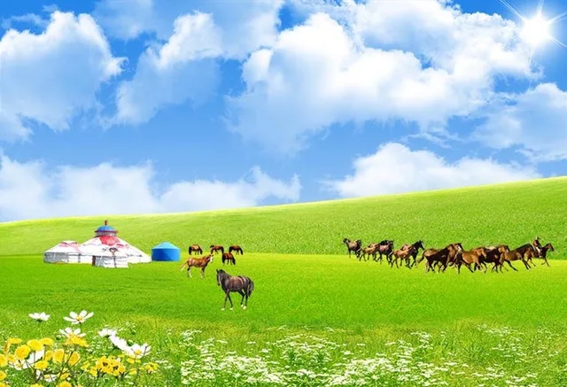 Vinyl Blue Sky Green Screen Prairie Photography Backdrops Photo Backgrounds Baby Newborn Child Wedding studio props Lv-123
Vinyl Blue Sky Green Screen Prairie Photography Backdrops Photo Backgrounds Baby Newborn Child Wedding studio props Lv-123