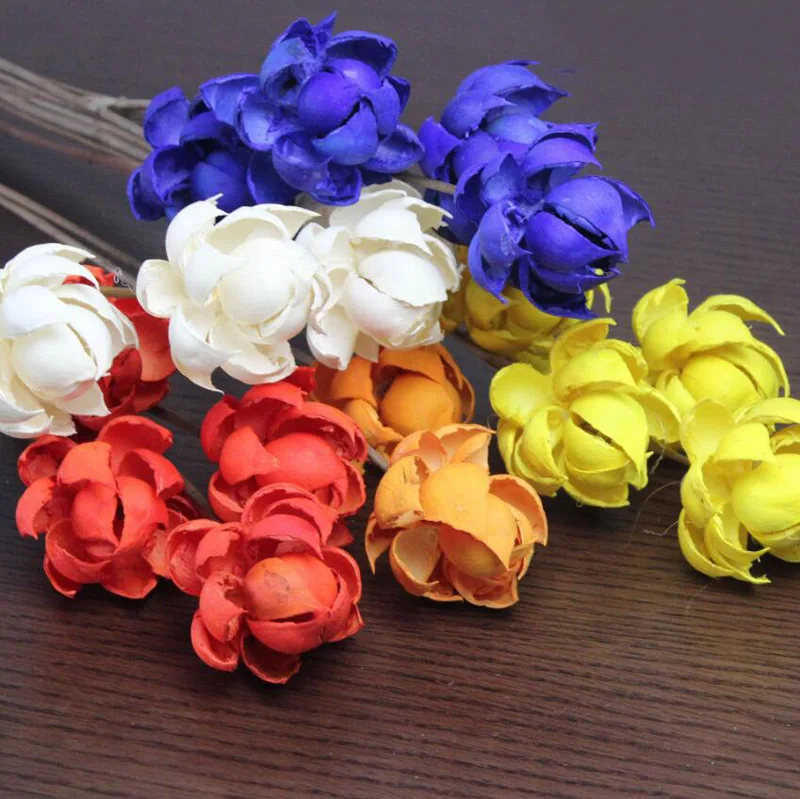 10pcs Medinilla Magnifica Dried Flower For Wedding Party Home Hotel Decoration DIY Bouquet Project Accessory
10pcs Medinilla Magnifica Dried Flower For Wedding Party Home Hotel Decoration DIY Bouquet Project Accessory